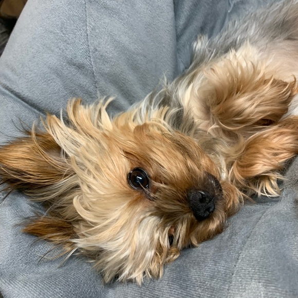 Meet your Posher, Autumn - Picture 3 of 3